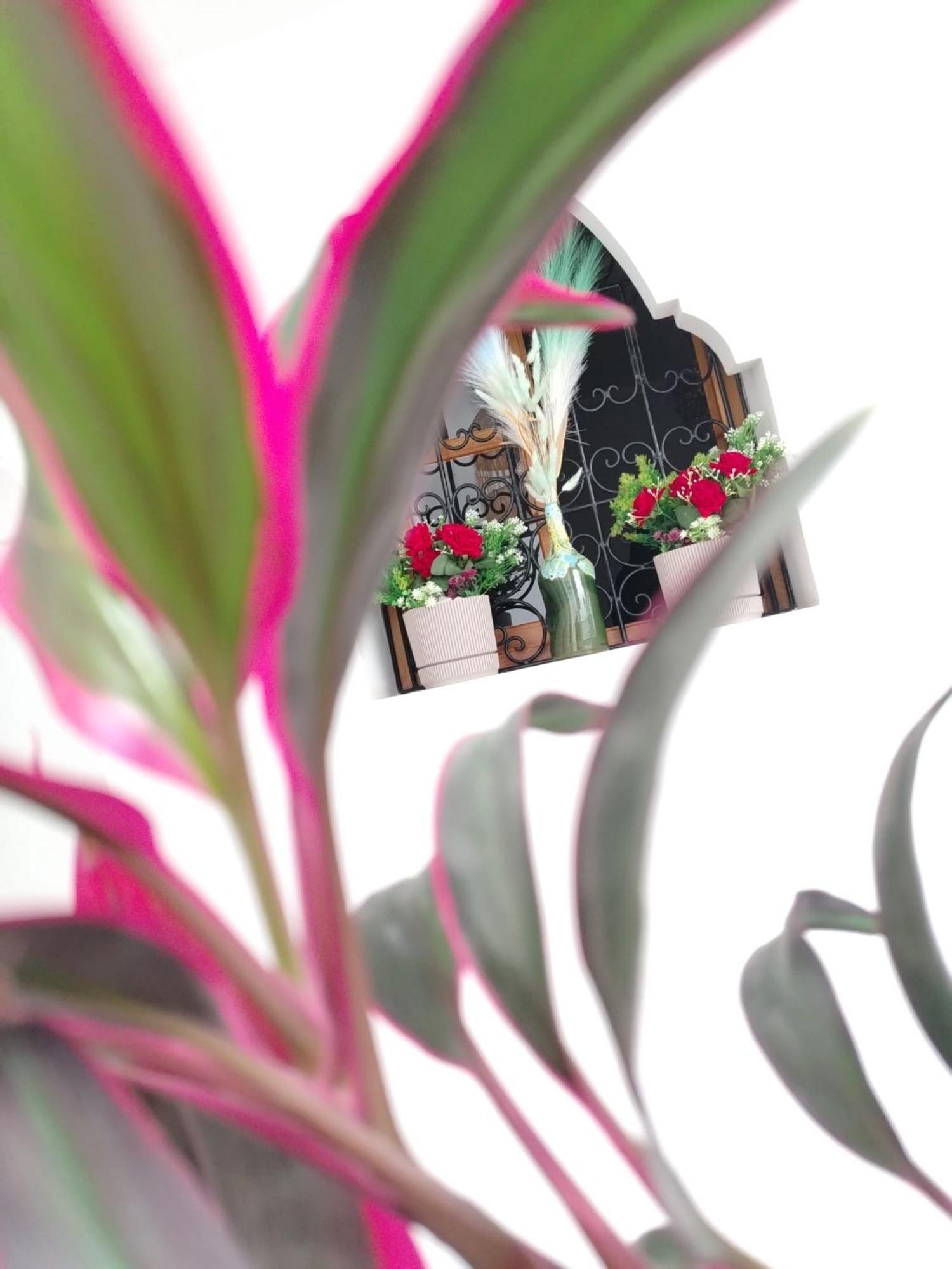 & Sous Le Soleil Chez Jerome & Pamela Essaouira *